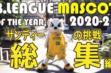 2021マスコット総選挙!サンディーの挑戦‼︎ついに渋谷のあの場所で…