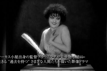 あなたの一生を変えるかもしれない怪作、珍作、迷作、etc…特集上映「奇想天外映画祭」予告編