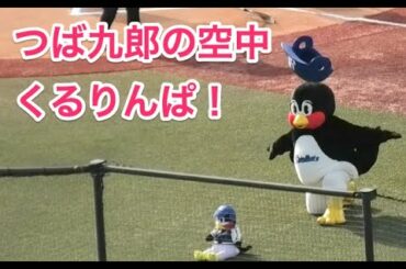 つば九郎の空中くるりんぱ！2021/3/27