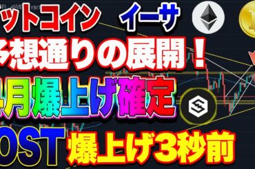 【仮想通貨】ビットコイン、イーサ、IOSTまもなく爆上げ？