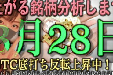 【ビットコイン,NEM,XRP,BNB,IOST,QTUM,DOT,ENJ】上がる銘柄はこれだ！4月は暖かい風が吹く