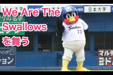 つば九郎、We Are The Swallowsを舞う