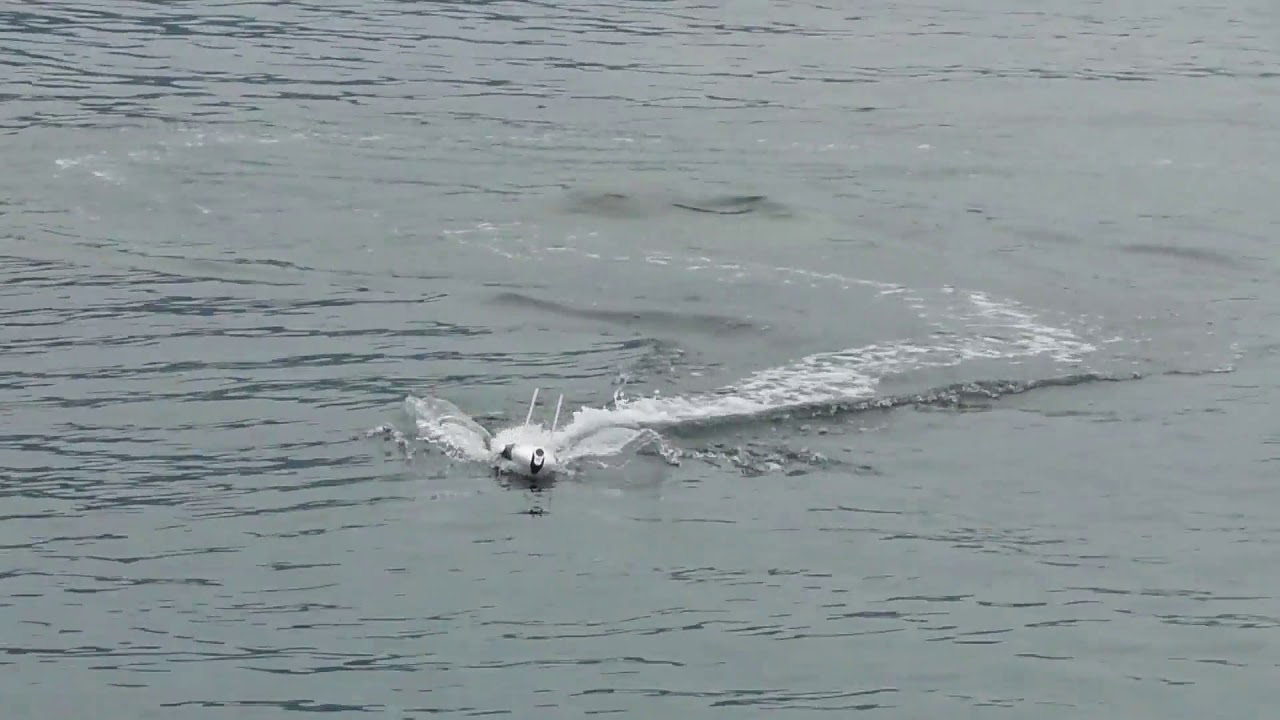 ❤️PowerDolphin　（水上ドローン）　NO.3