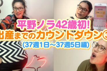 【平野ノラ42歳初】バブ子出産！までカウントダウン③（37週1日〜37週5日編）