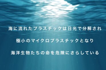 プラスチックの脅威〜私たちに出来ること〜