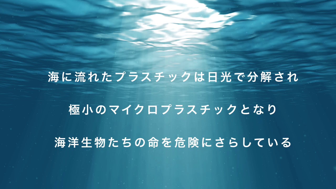 プラスチックの脅威〜私たちに出来ること〜 プラスチックの脅威〜私たちに出来ること〜