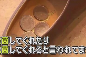 靴職人が教える靴の賢い保管方法と選び方👞片岡安祐美