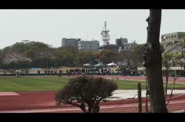 田中希実選手　2021明石市春季陸上記録会800m