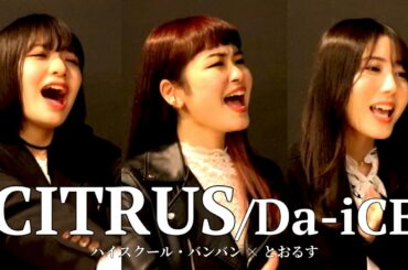 【コラボ】CITRUS / Da-iCE【ハイスクール・バンバンの女性陣とアカペラ】