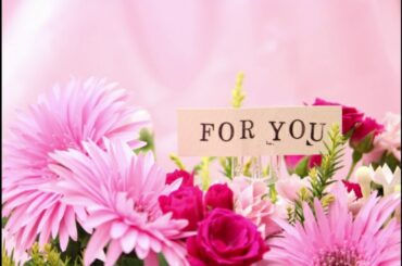 バースデー SAMPLEデータ