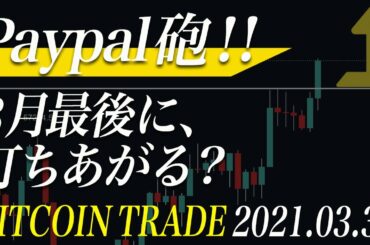 【ビットコイン重要】Paypal、仮想通貨決済開始！爆上げ開始か！？今後の注目ポイントを解説【BTC 仮想通貨相場分析・毎日更新】
