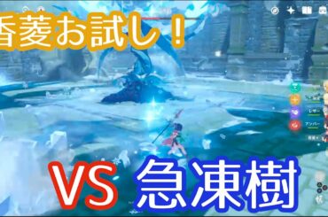【原神実況】【秘境攻略：最高の食材】香菱お試し＆急凍樹初見！【冒険者ランク上げ】