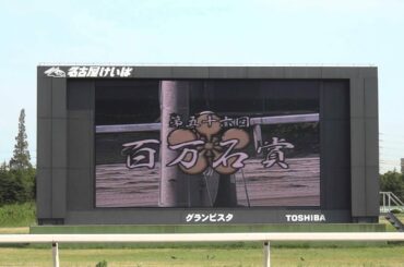 ２０１３年　百万石賞　ファンファーレ　in　名古屋競馬場