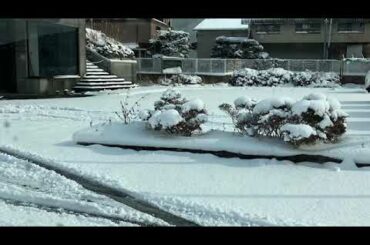 秦基博　朝が来る前にカバー　弾き語り