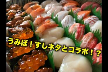 うみぼうずがNHKから取材！？どすこいすしずもうさんとのコラボ！？【シモトピック『フリトピ』】Vol.175【uncut版】