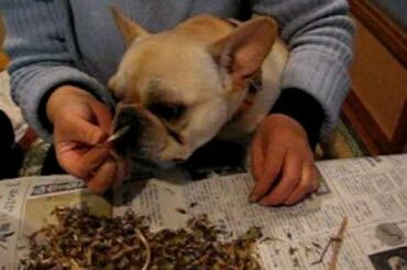 つくし料理 023.avi