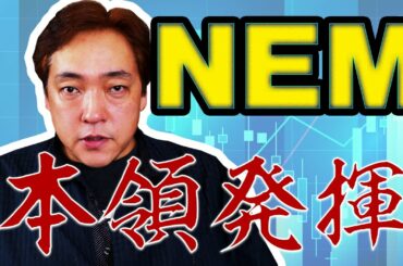 仮想通貨 NEM 祭りの前 ネム 暗号通貨