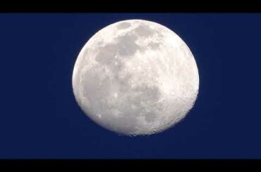 U-24日本代表 vs U-24アルゼンチン代表　- JPN vs ARG 2021.3.26