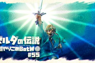 木の枝で制す剣の試練（序位）｜すべてを越えた超やりこみBotW #55