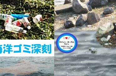 【海の日動画2020】海洋ゴミが深刻すぎてピンチ！（プラスチック　不法投棄　さかなクン　海ごみゼロ　海と日本プロジェクト　廃棄物　ポイ捨て　海底ゴミ　地元の海　ごみ拾い　環境省　リサイクル　海ごみ）