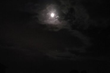 ブルームーンを心の海で感じて。。。今夜は詩人になって眠りましょう。