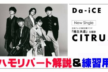 【ハモリパート解説・練習用】CITRUS/Da-iCE※ドラマ「極主夫道」主題歌