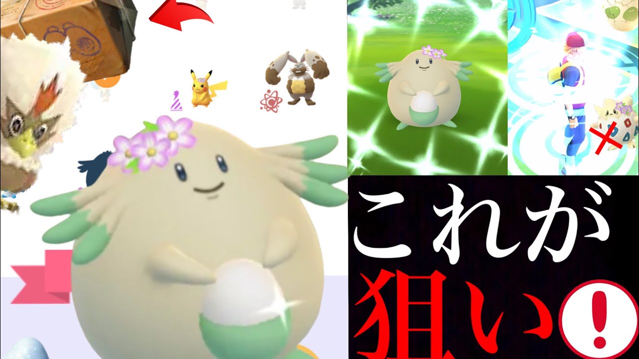 ポケモンgo 絶対に狙うべきは タスク ２ｋｍタマゴのレア度も判明 色違いラッキーやワシボンも今こそゲットできるチャンス 春イベント メガミミロップ Tkhunt