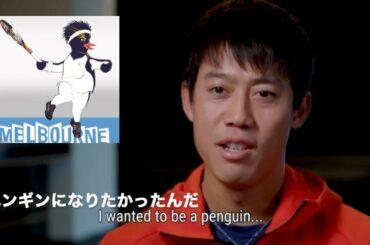 【衝撃】錦織圭、子供の頃の夢はペンギンになることだった