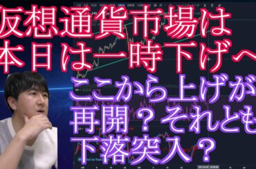 【投資】#91　仮想通貨市場、本日は一旦下げへ！こっから上がる？下がる？仮想通貨のチャート分析！