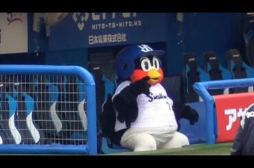ベンチに座るだけで癒しをくれるつば九郎