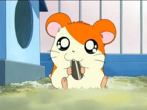 とっとこハム太郎 第1話「とっとこ登場!ハム太郎 」前編 とっとこハム太郎 第1話「とっとこ登場!ハム太郎 」前編