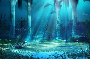 松坂桃李（高島明石）と森崎ウィンが演奏するクラシック曲【ヒーリング/リラックス/勉強/読書/作業用ＢＧＭ】