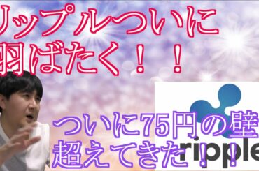 【投資】#92　リップルついに羽ばたく！！仮想通貨のチャート分析！