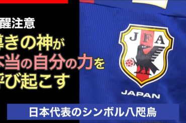 【八咫烏神社】サッカー日本代表エンブレムヤタガラス！導きの神社は穴場パワースポット