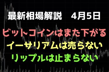 リップルは止まらない｜ビットコインはショートのチャンスが来る｜ビットコイン、イーサリアム、リップルの値動きを解説