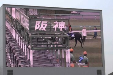 ２０１３年　宝塚記念　ファンファーレ　in　中京競馬場
