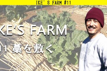 【池's farm#11】深まる畑への愛。敷き藁に挑戦！