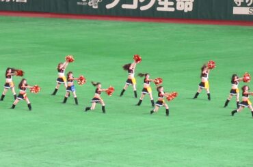 2021年4/4　ヴィーナス・試合開始前「ツカメ～It's Coming～」●巨人・ジャイアンツ公式マスコットガール!!
