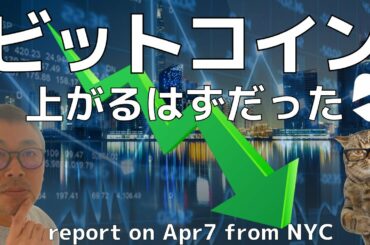 😨ビットコイン上がるはずだった💦BTC,ETH,XRP,LTC,ADA,BNB,BTT🏃‍♀️🏃‍♂️🏃‍♀️ドルインデックス、ビットコインドミナンス解説🔥