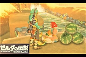 【犯人は誰だ！ : ミニチャレンジ　ゲルドの街】 攻略 ゼルダの伝説 ブレスオブザワイルド 　"The Mystery Polluter" BREATH OF THE WILD