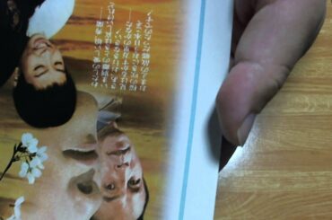 【映画チラシ】　桜　さくら