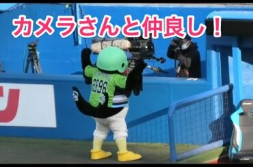 つば九郎、カメラさんと仲良し！