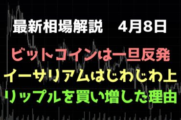 ビットコインは戻り売りを狙う｜リップルを買い増した理由について｜ビットコイン、イーサリアム、リップルの値動きを解説