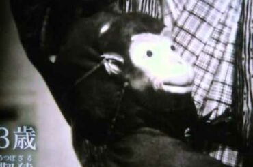 狂言師・・・野村萬斎