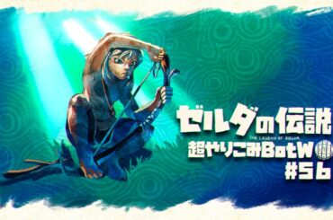 木製の弓で制す剣の試練（中位）｜すべてを越えた超やりこみBotW #56