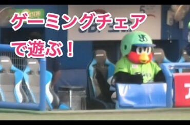 つば九郎、ゲーミングチェアで遊ぶ！