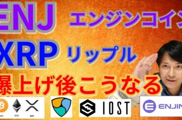 【仮想通貨BTC, ETH, XRP, IOST, NEM, ENJ 】エンジンコイン＆リップル爆上げ後こうなる‼️