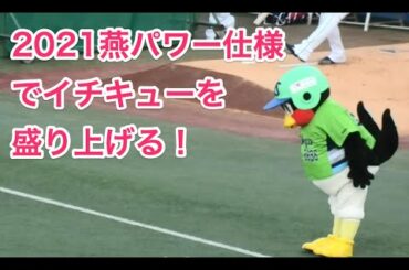つば九郎、2021燕パワー仕様でイチキューを盛り上げる！