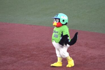 2021-4-8　つば九郎　(着衣があるとついつい)
