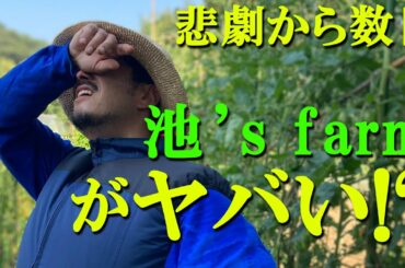 【池's farm #7】前回の悲劇から数日、池's farmがヤバい！？